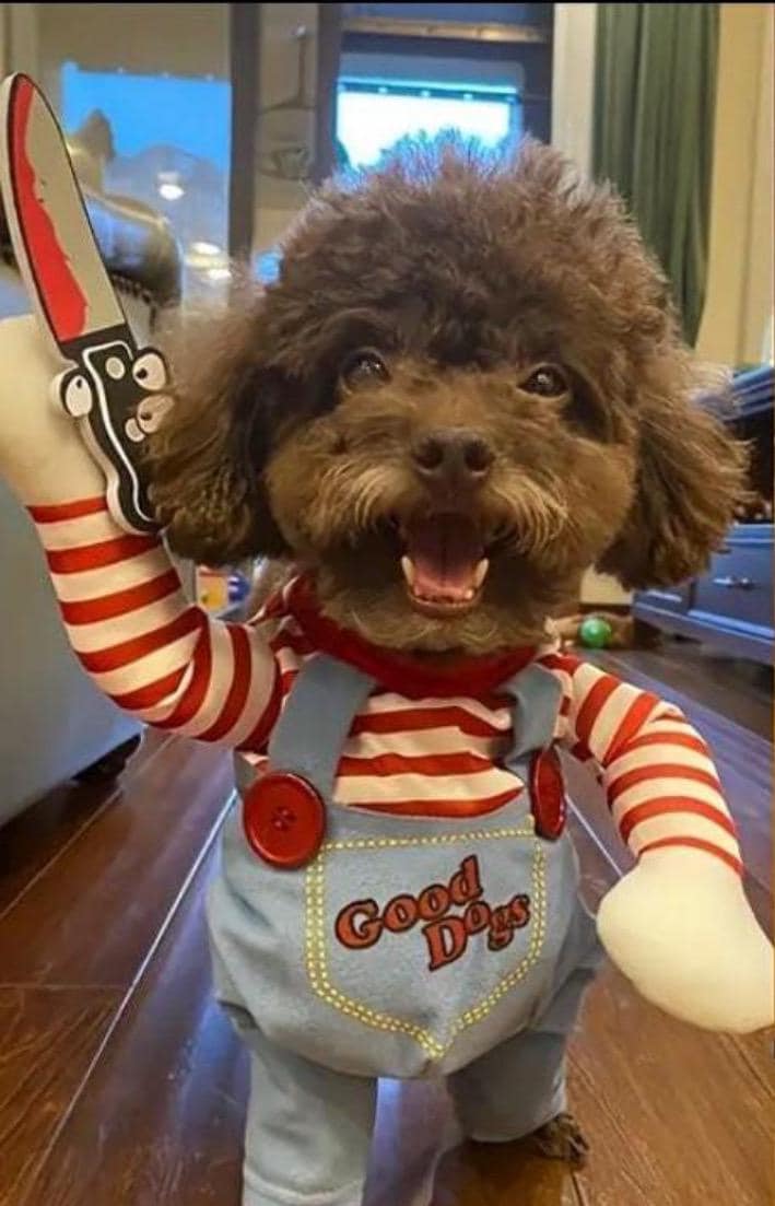 Halloween goes out – ends Sunday!