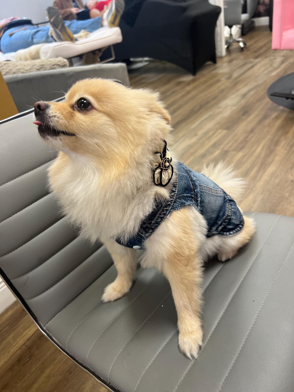 Fashion Punk Dog Vest Unisex