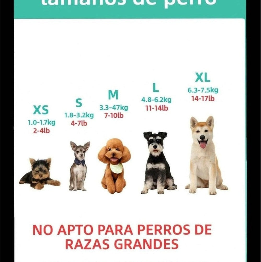 christmas reindeer dog sweater in red knit – Keka Apparel