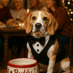 Beagle wearing Black Dog Tuxedo Harness with bow tie at holiday dinner table in front of family and Christmas tree.