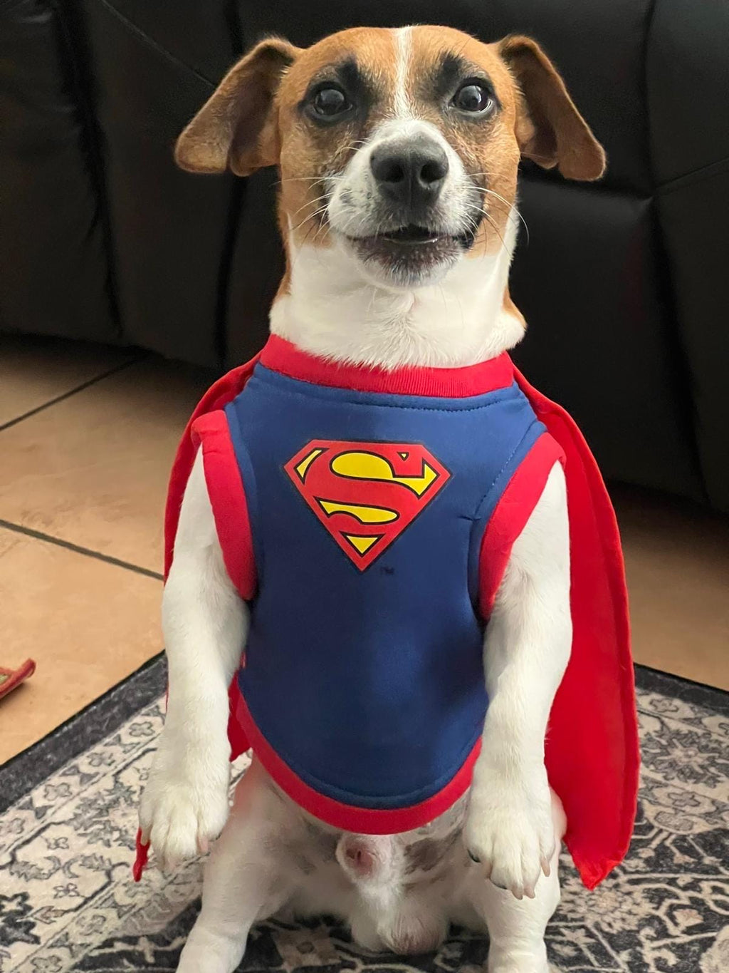 Halloween goes out – ends Sunday / Oferta Termina el Domingo