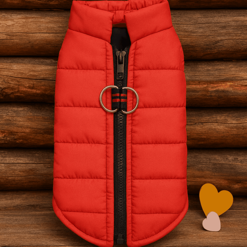 Red quilted dog vest flat lay showing waterproof padded jacket with built-in harness and D-ring attachment