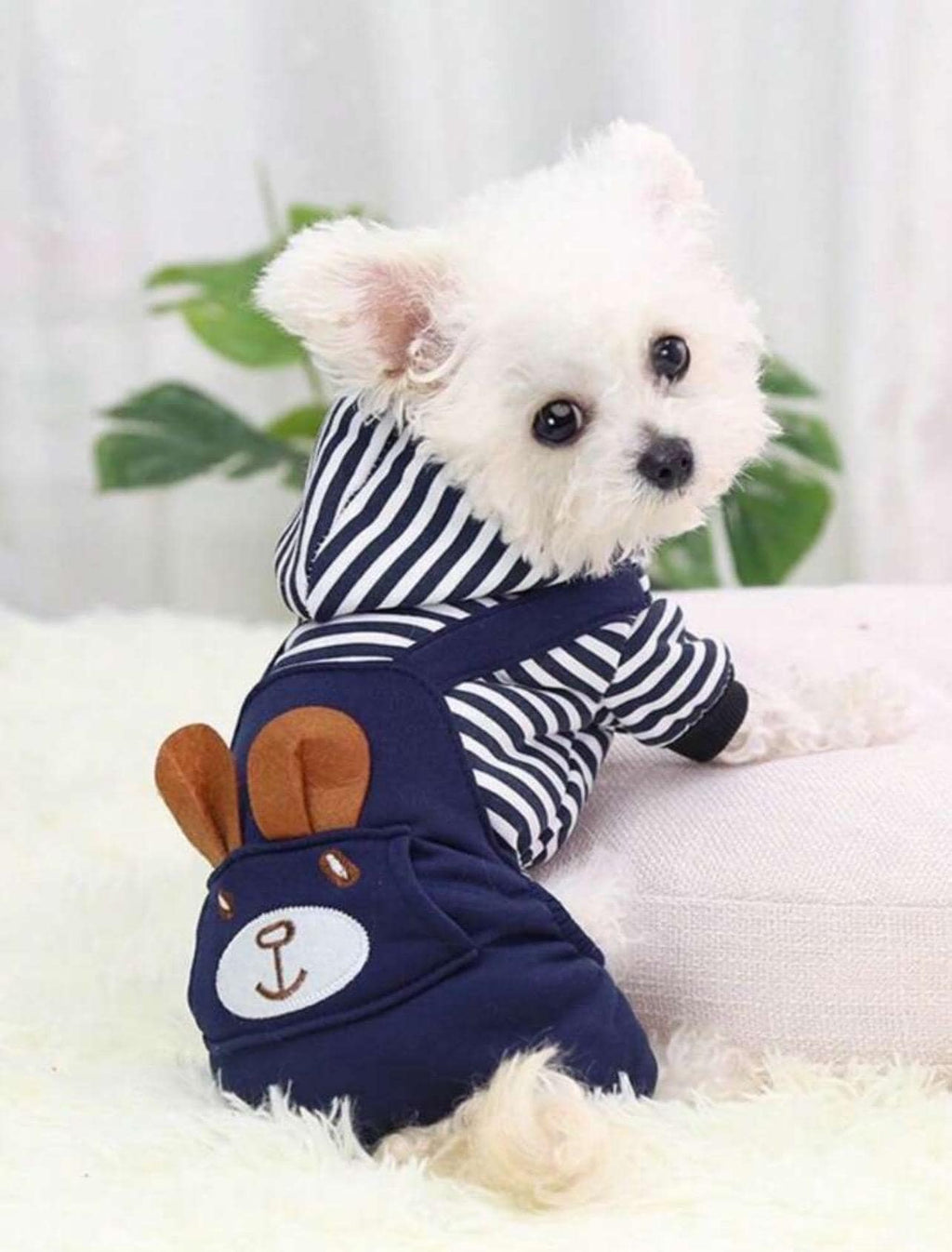 Little Sailor Clothing / Jumper de Marinerito