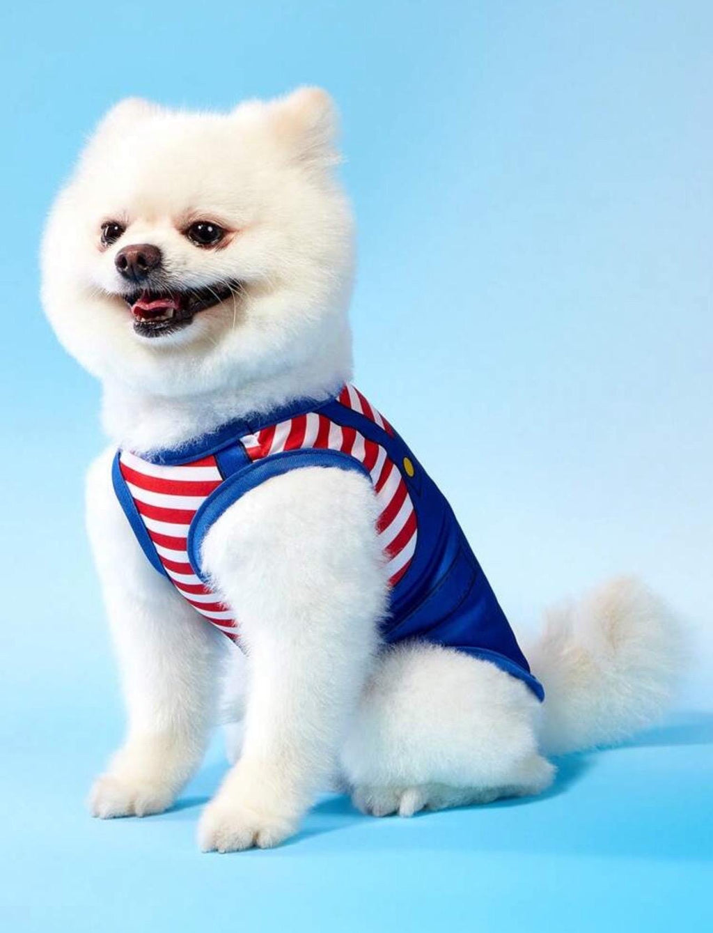 2-Pack Cartoon Dog Shirts – Cute Overalls Style Outfits for Small and  Medium Pets