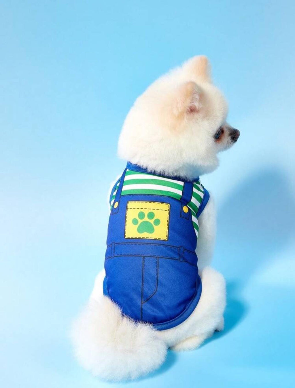 2-Pack Cartoon Dog Shirts – Cute Overalls Style Outfits for Small and  Medium Pets