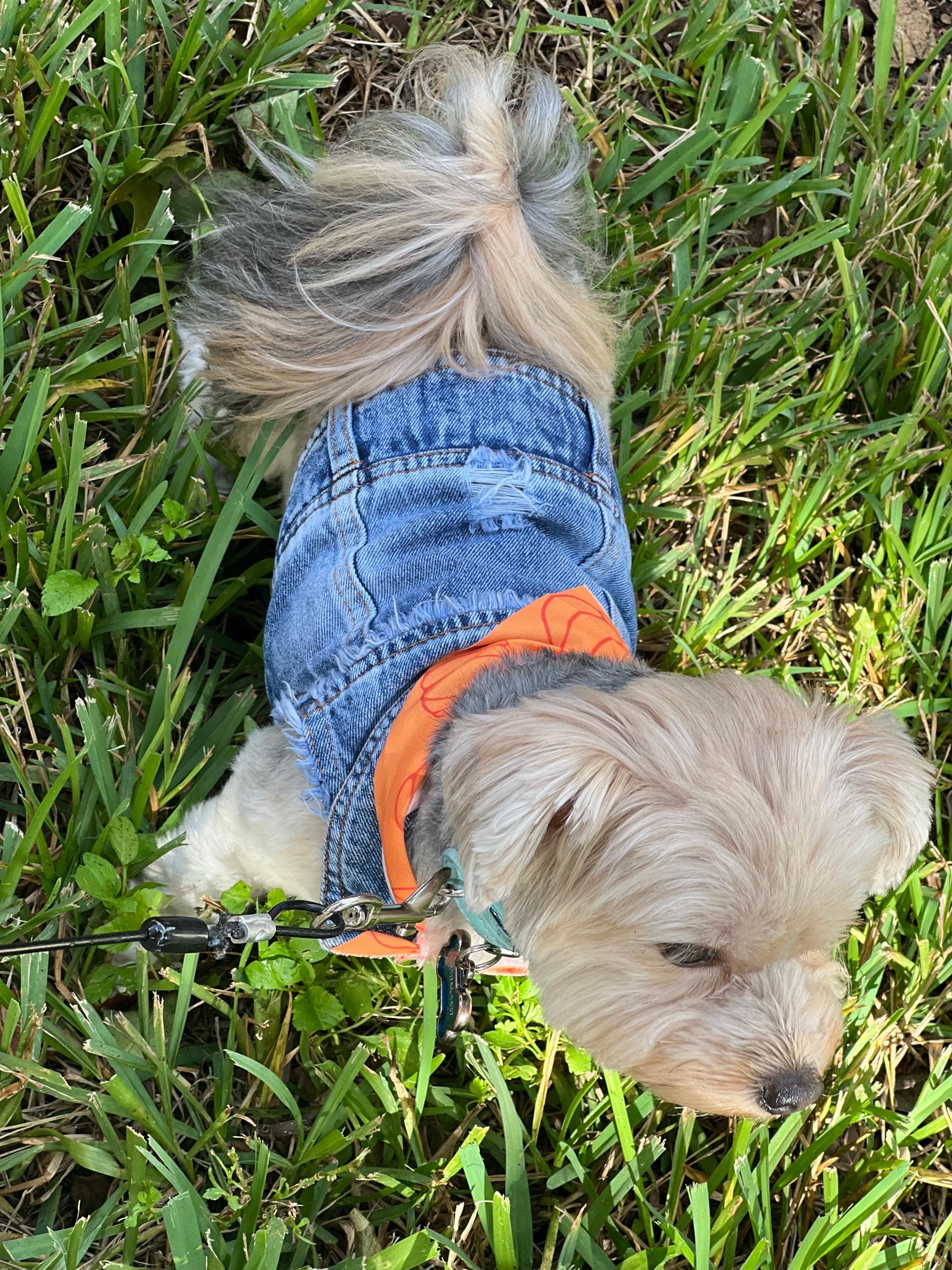 Fashion Punk Dog Vest Unisex