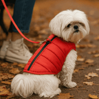 Small white dog wearing a red quilted waterproof dog vest with built-in harness and D-ring sitting on autumn path