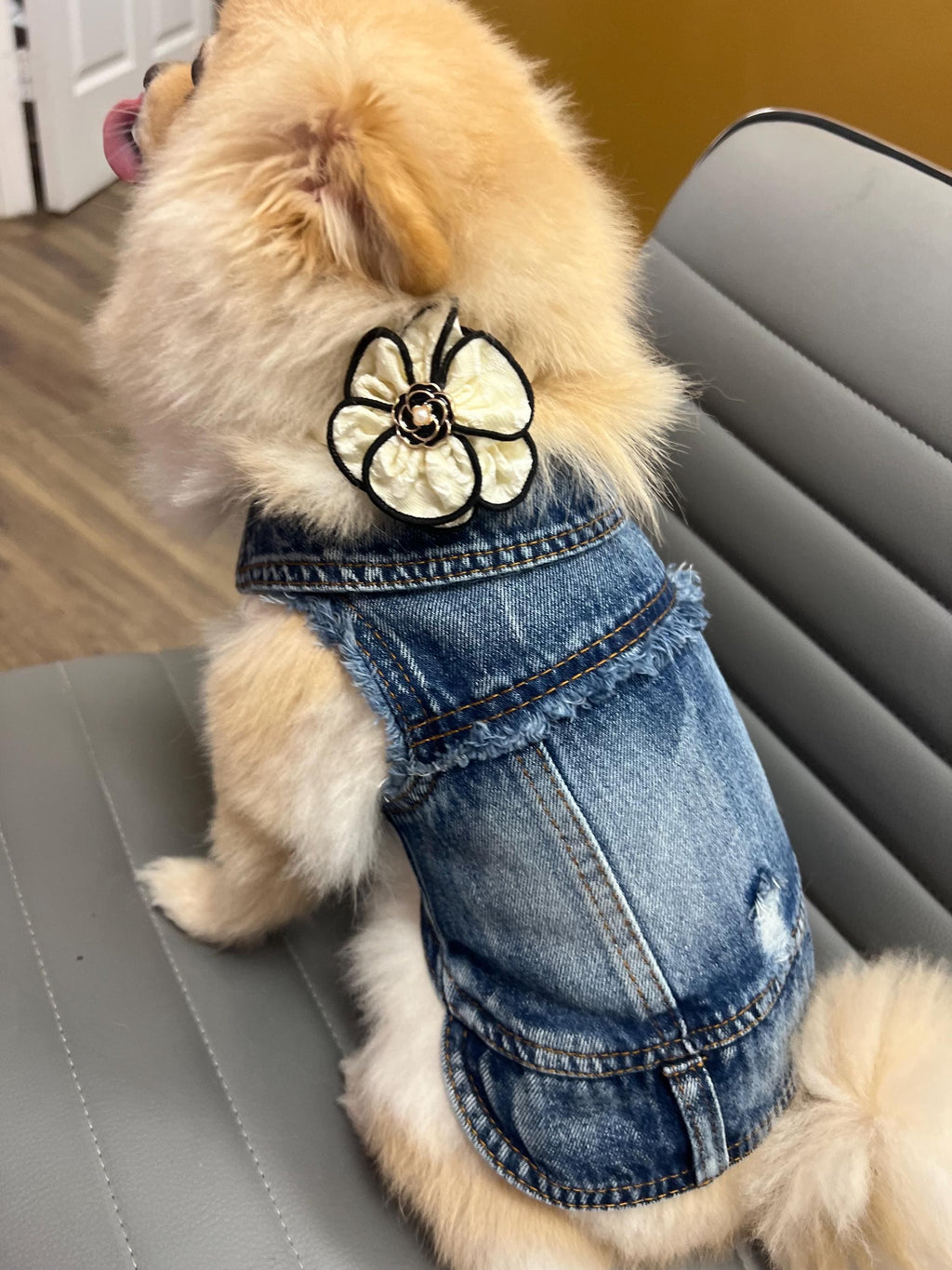 Fashion Punk Dog Vest Unisex