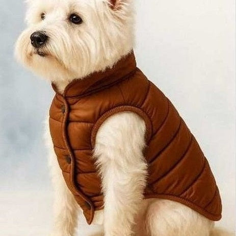 Small white dog wearing a brown quilted dog jacket with sherpa lining and snap-button closure
