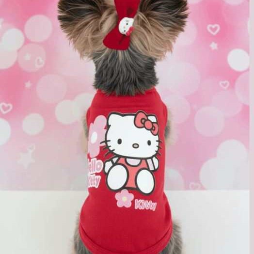 Small dog wearing cute red cartoon dog shirt with Hello Kitty design