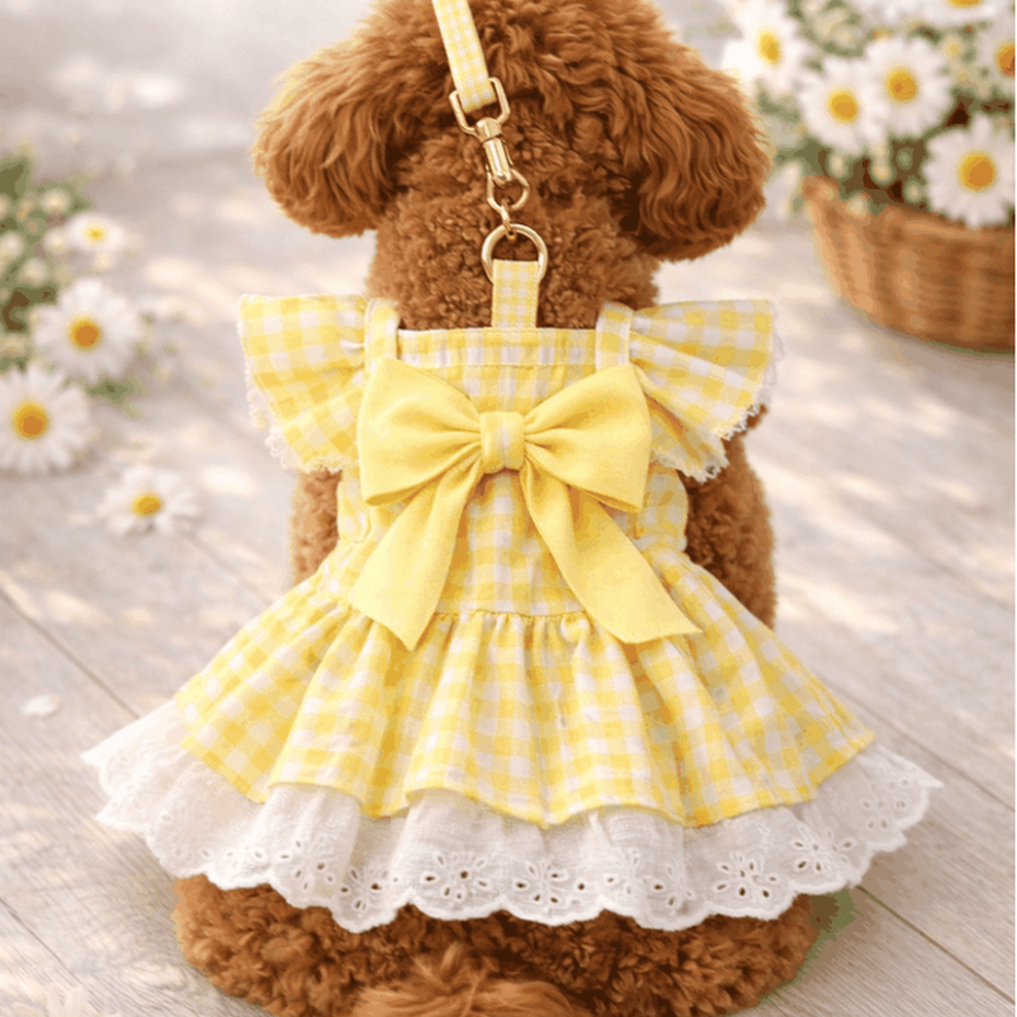 Small dog wearing sunny yellow gingham dress with eyelet lace trim, ruffled sleeves, and built-in D-ring leash attachment.