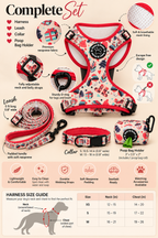 Infographic of the complete Christmas dog walking set: harness, collar, leash and poop bag holder