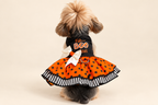 A small dog viewed from behind wearing a Halloween costume consisting of a black bodysuit with 'Fab BOO LOUS' text, an orange polka-dot skirt, and a white bow, set against a plain beige background.