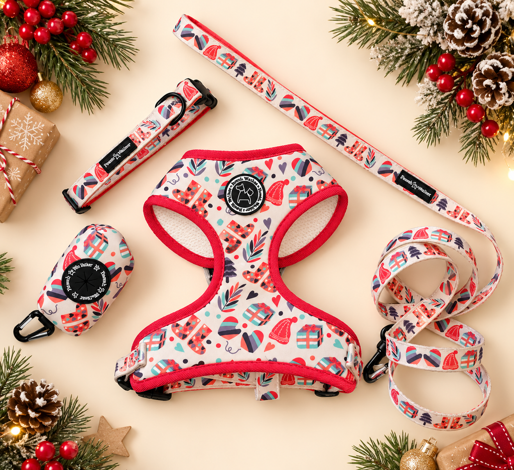 Flat lay of the Merry Paws Christmas walking set: harness, collar, leash and poop bag holder with holiday decor