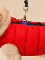 A close-up of a dog wearing a bright red puffer vest with black trim and a black leash attached via a metal clip. The dog's light cream fur is visible at the edges, set against a solid beige background.