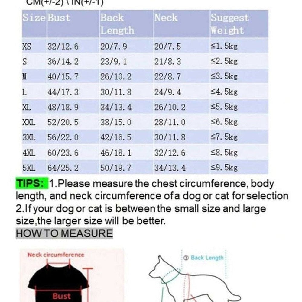 Sunny Yellow Gingham Dog Dress with Eyelet Lace & D-Ring for Leash Attachment