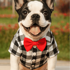 Black and white buffalo check dog shirt with red bow tie worn by small black and white dog outdoors