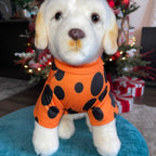 Small dog wearing orange Cheetos Dog Hoodie showing side view with hood detail