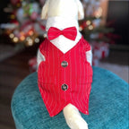 Back view of red dog tuxedo suit displaying pinstripe pattern and formal vest construction