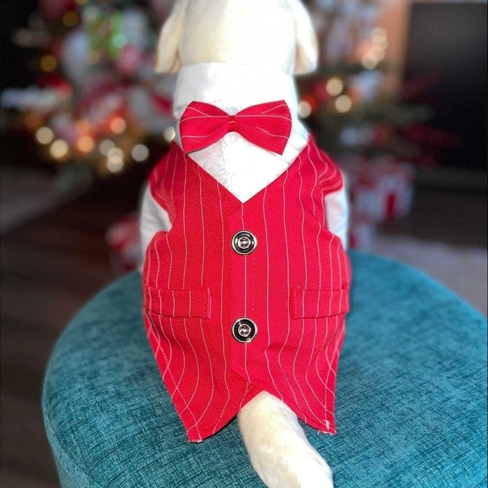 Back view of red dog tuxedo suit displaying pinstripe pattern and formal vest construction