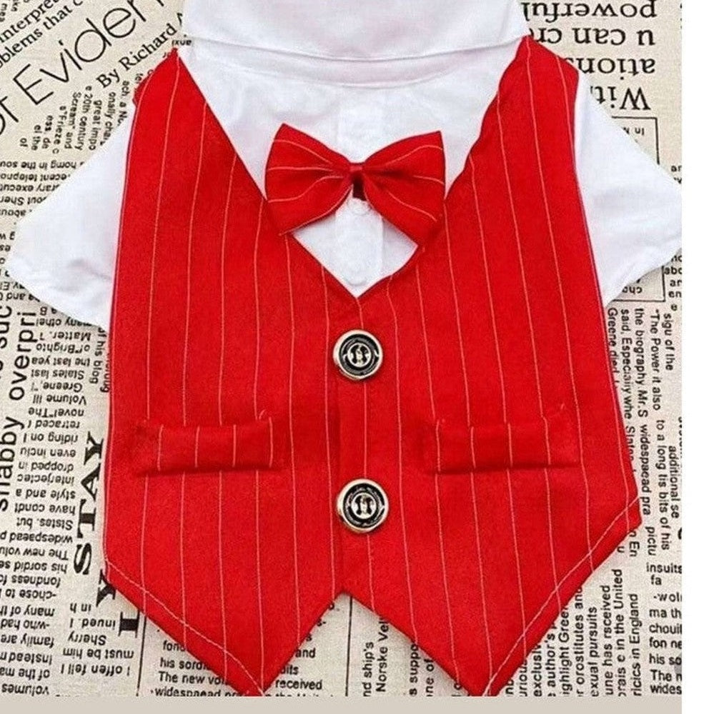 Close-up of red pinstripe dog tuxedo vest showing formal fabric detail and bow tie accent
