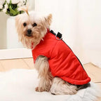 Side view of red quilted dog vest showing padded winter jacket construction and fit