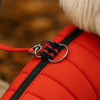 Back view of red quilted dog vest displaying harness straps and D-ring for leash attachment