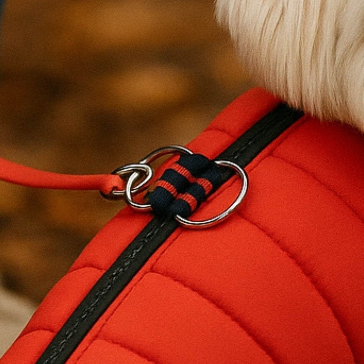 Back view of red quilted dog vest displaying harness straps and D-ring for leash attachment