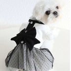 Detail of white ribbed bodice with black pearl buttons on dog dress