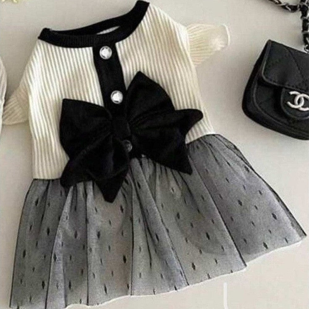 Close-up of elegant black and white polka dot dog dress with tulle skir