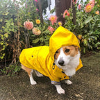 Retro Padded Dog Raincoat Jacket (Waterproof/Windproof)