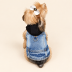 A small dog seen from behind wearing a blue denim vest over a black hoodie, with a white bow in its hair.