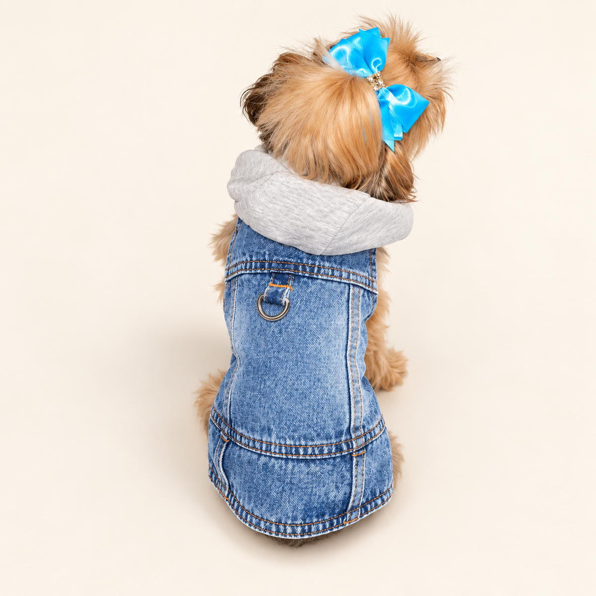 A small dog viewed from behind wearing a blue denim vest over a light gray hooded sweatshirt, with a bright blue bow in its hair.