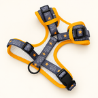 Midnight Bear Walk Set