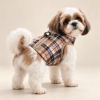 Shih Tzu wearing a tan plaid dog vest