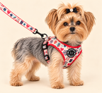 Yorkshire Terrier wearing the red and white Merry Paws Christmas harness with matching leash