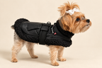 Yorkie wearing the Midnight Aviator Harness Coat, side view with D-ring and faux sherpa-trimmed hem