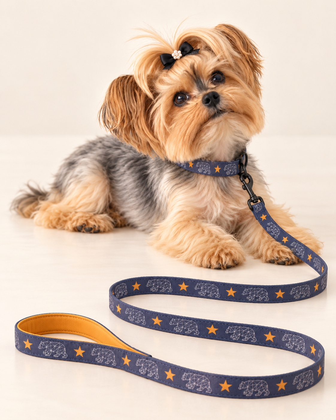 A small Yorkshire Terrier dog wearing a navy blue collar and matching leash with a repeating pattern of white elephants and gold stars, posed on a light cream background.