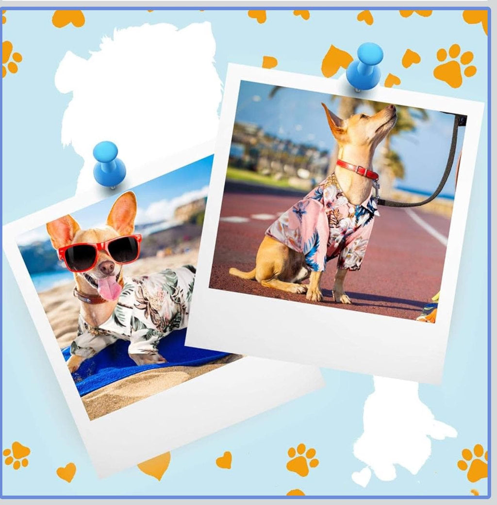 Hawaiian Tropical Style Shirts Beach Print Dogs & Cats T-Shirt / Hawaiian Tropical Style Shirt for Dogs and Cats