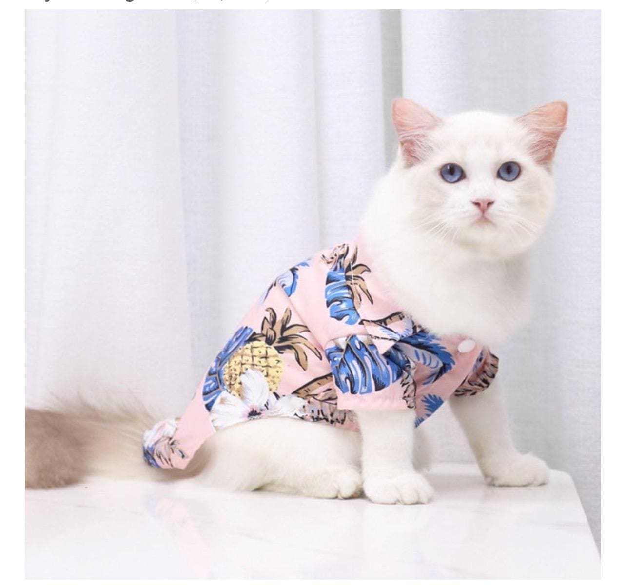 Hawaiian Tropical Style Shirts Beach Print Dogs & Cats T-Shirt / Hawaiian Tropical Style Shirt for Dogs and Cats