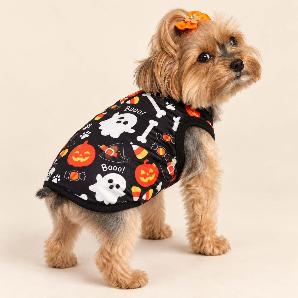 Keka wearing the Boo Crew Halloween dog shirt in a rear three-quarter studio view