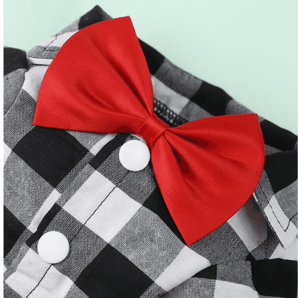 Camisa buffalo check - detalle moño rojo fondo pastel