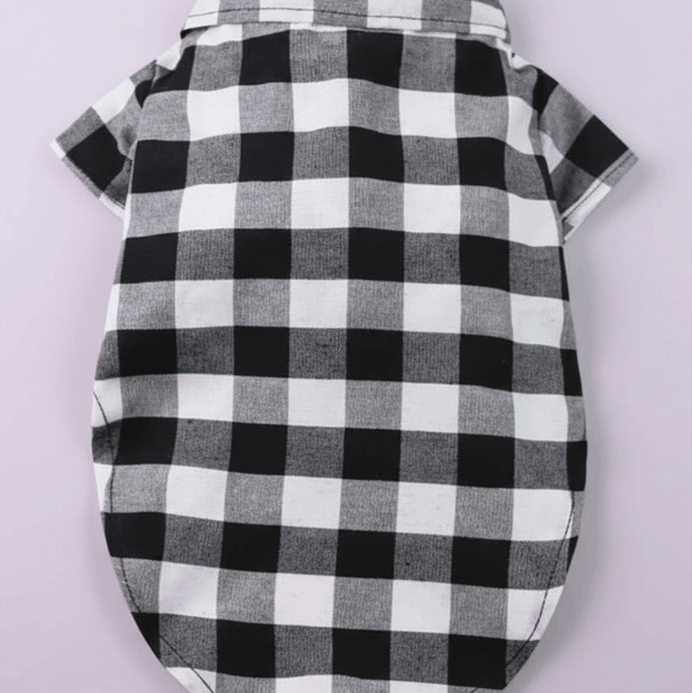 Camisa buffalo check - vista trasera fondo pastel