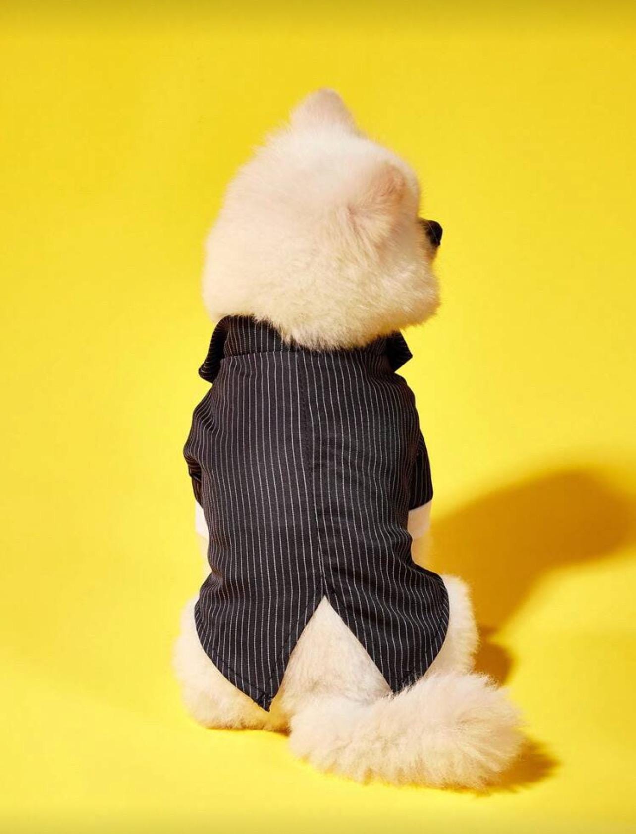 Elegant Dog Tuxedo Suit | Formal Pet Outfit with Bow Tie | Wedding, Christmas & Photoshoot Dog Clothing