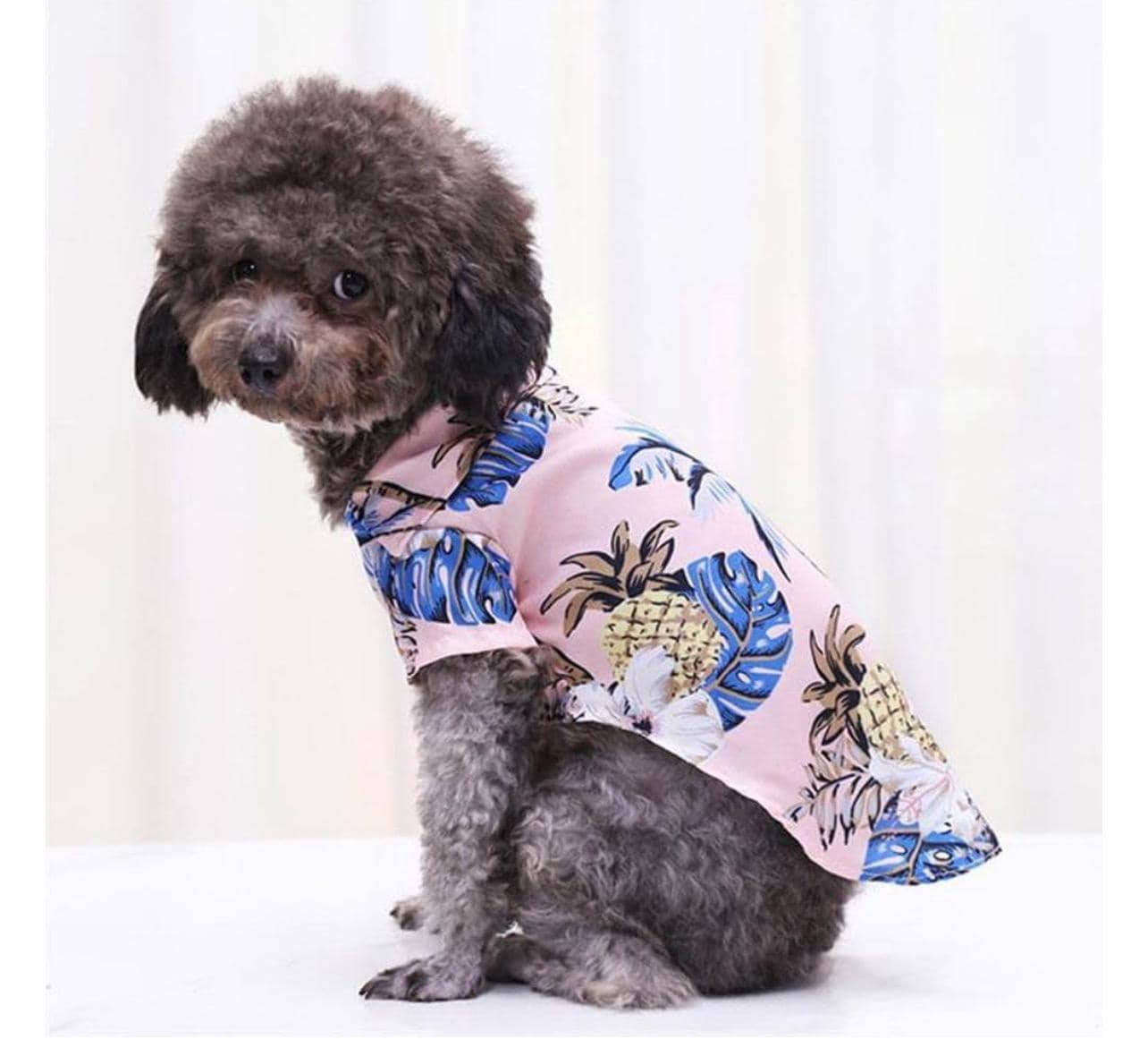 Hawaiian Tropical Style Shirts Beach Print Dogs & Cats T-Shirt / Hawaiian Tropical Style Shirt for Dogs and Cats