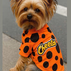 Small dog wearing orange Cheetos Dog Hoodie with black polka dots and logo on sidewalk