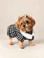 Keka wearing the fitted black and white houndstooth dog dress in a three-quarter studio view