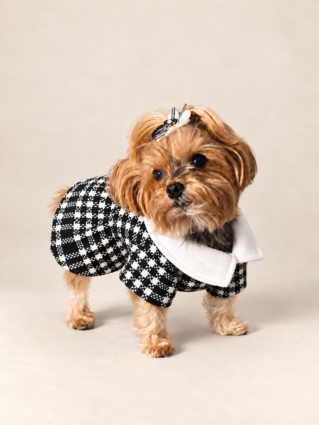 Keka wearing the fitted black and white houndstooth dog dress in a three-quarter studio view