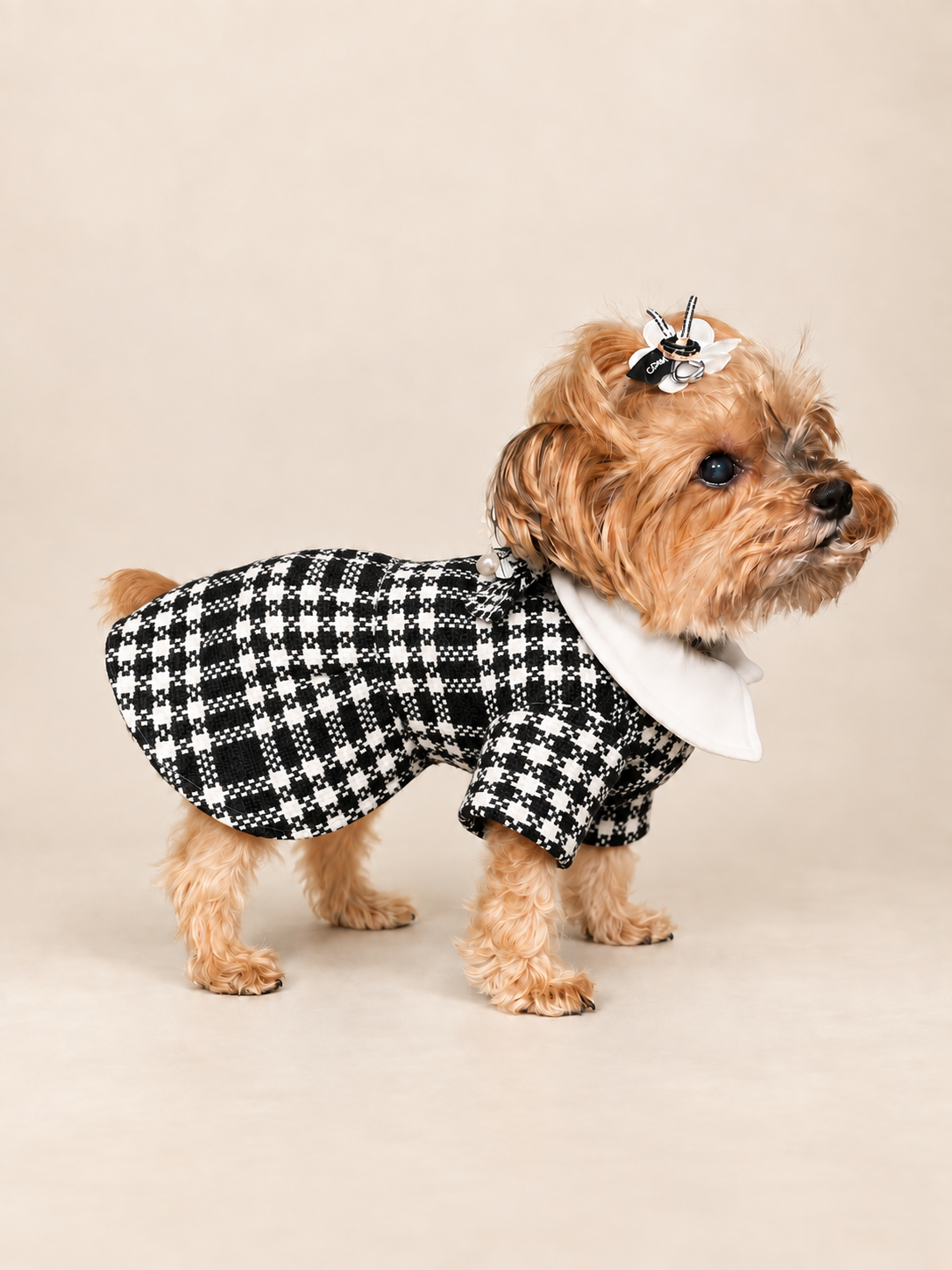 Side view of Keka wearing the fitted black and white houndstooth dog dress