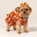 Keka wearing the Fab-Boo-Lous Halloween Harness Dress, front three-quarter view